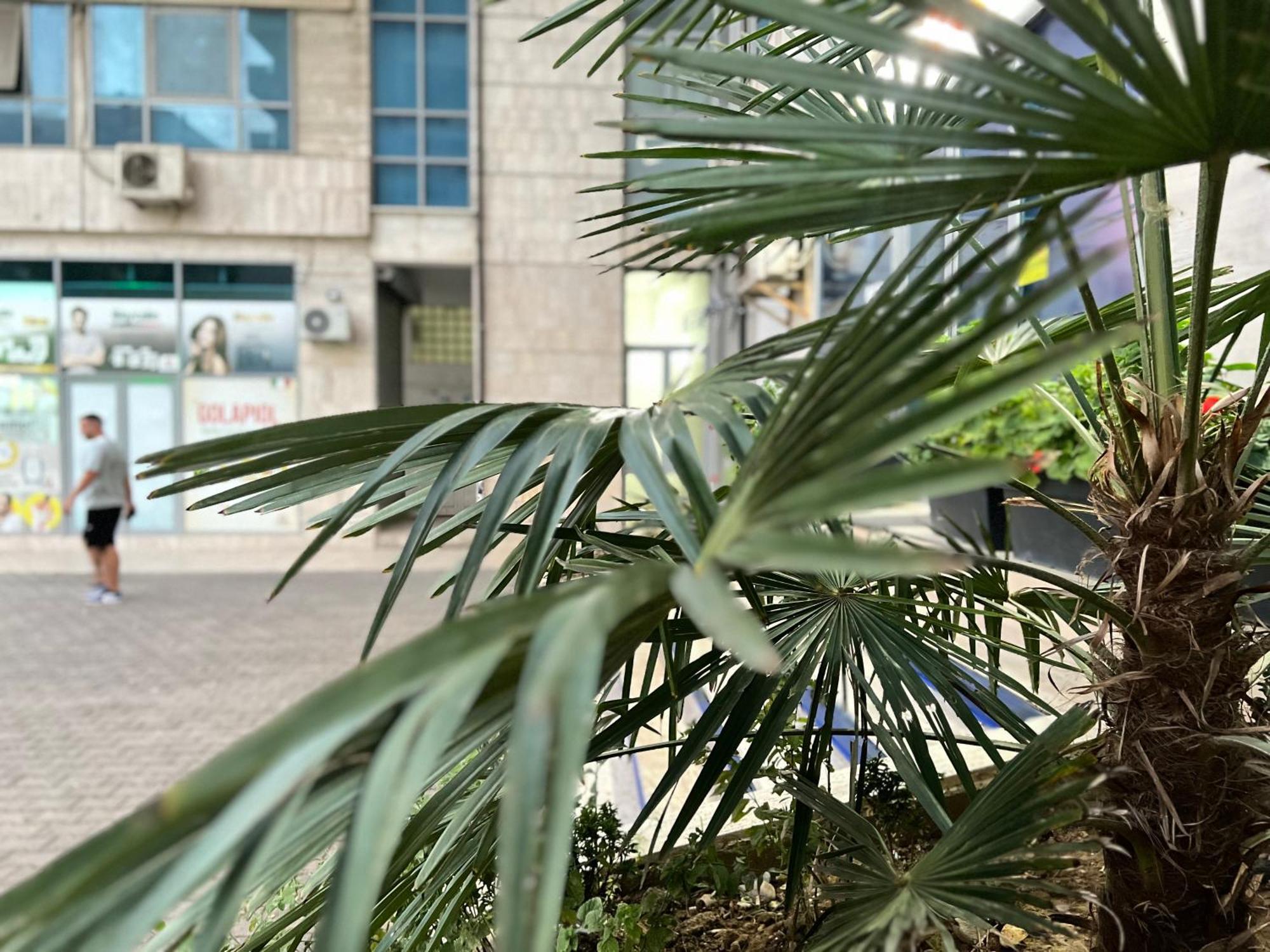 New Baazar Terrace Apartment Tirana Exterior foto